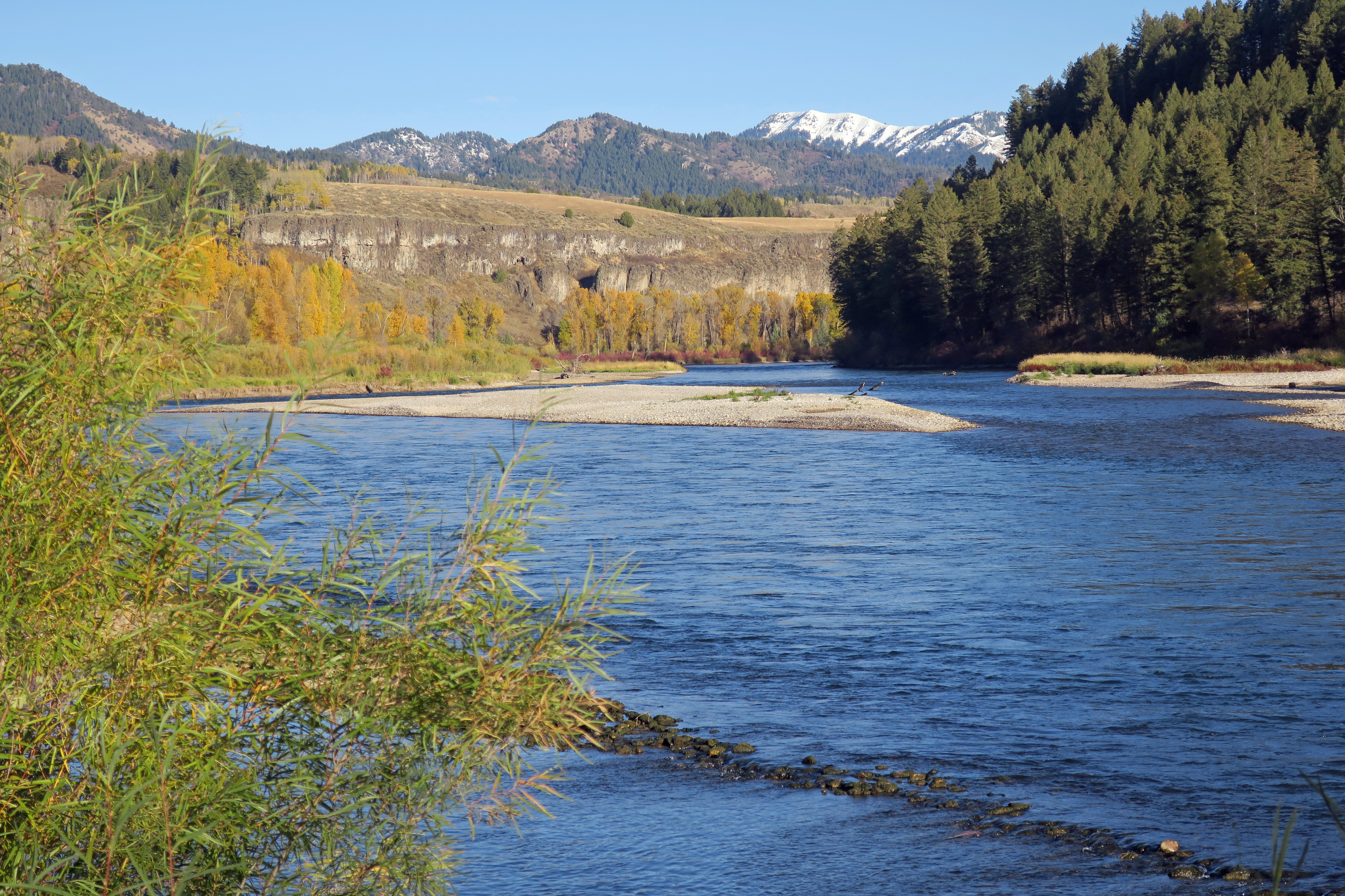 The South Fork Snake River bordered by autumn trees, forested hills, and snow-dusted mountains in Eastern Idaho